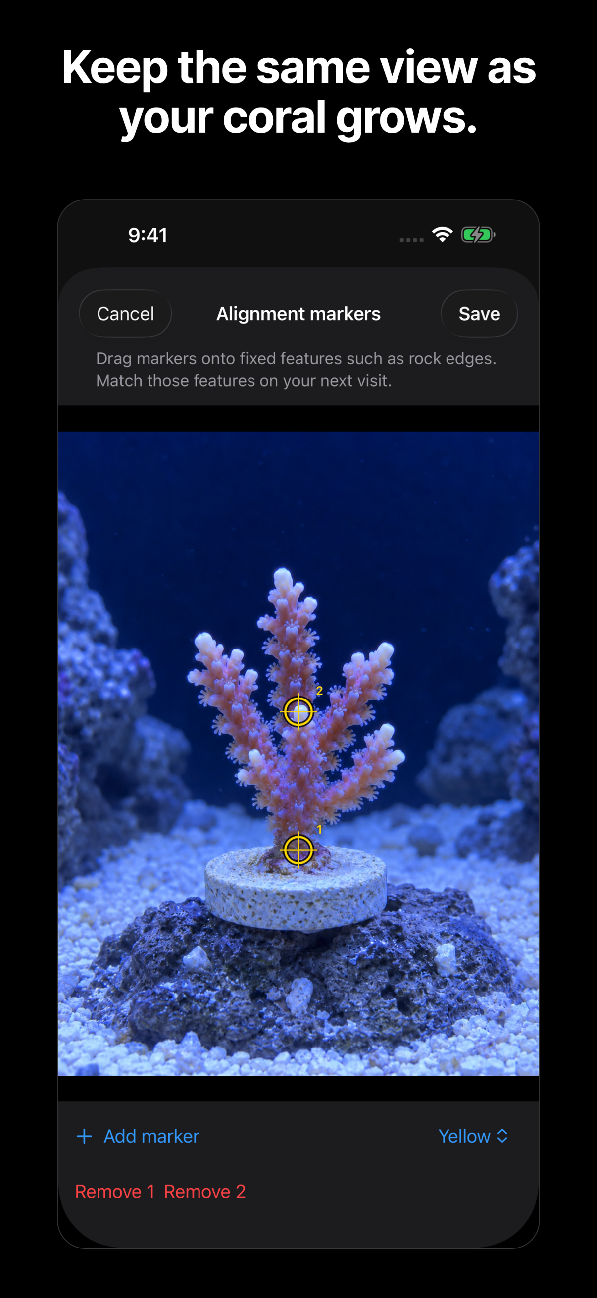 Align the next capture in the upcoming Aquarium Camera release